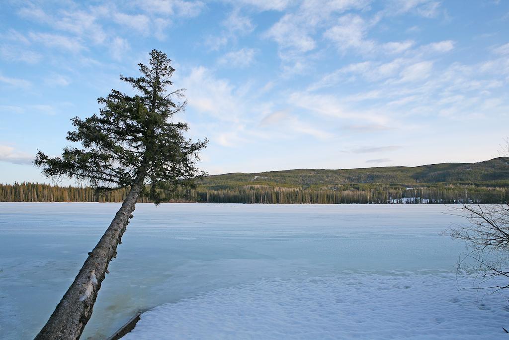 Lac Le Jeune Wilderness Resort Kamloops Exterior photo